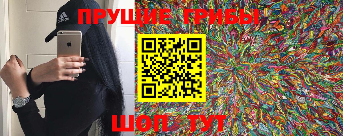 Галлюциногенные грибы Psilocybine cubensis  Вход с VPN  Александров 
