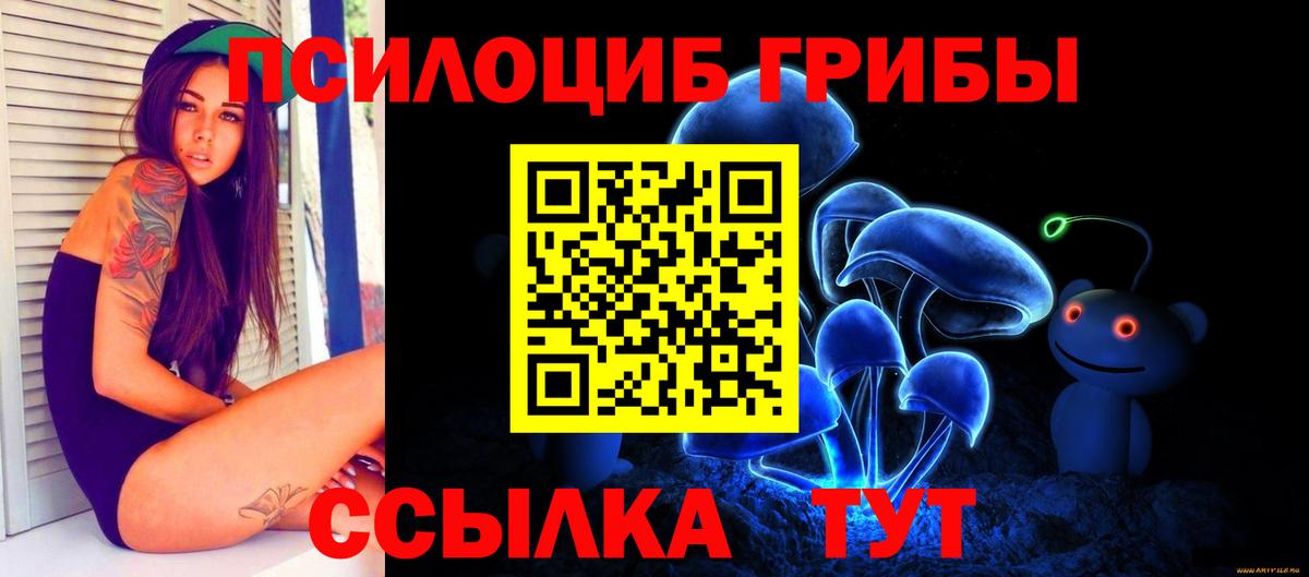 Галлюциногенные грибы мухоморы Александров